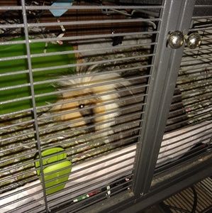 Meet your Posher, Karina